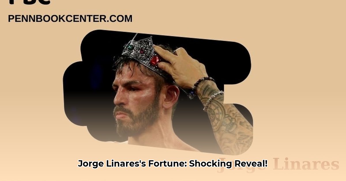 jorge-linares-net-worth